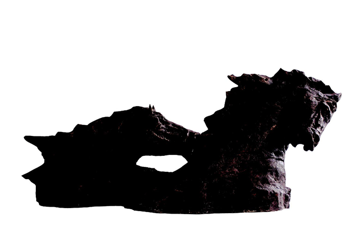 圖片1.jpg 圖片1.jpg